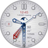 D390 Analog Watch Face