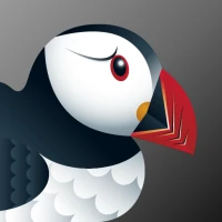 Puffin Gizli Tarayıcı