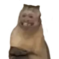 WASticker meme çıkartmaları
