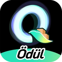 Qmove Şoför – Çok nakliyat işi