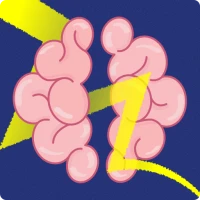 Shape Color  Memory Brain Game