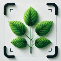 Bitkileri Tanıma - Plantio