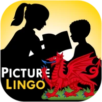 Picture Lingo Cymraeg for Kids