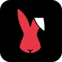 RabbitX: Trade Crypto Easily