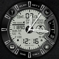 Voron METAL-LCD Watch Face