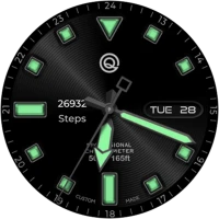 Diver Classic 17 Wear OS 4+