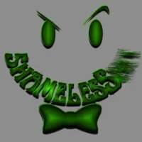 Shameless Hit