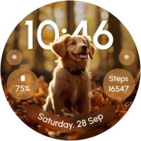 ReS52 - Cute Autumn Animals