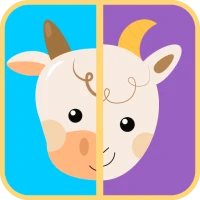 Kids Memory Card Game