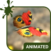 Butterfly Live Wallpaper Theme