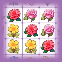 Dreamy Garden - Blossom Match