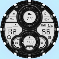 WFP 303 Hybrid watch face