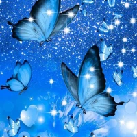 Blue Butterfly Wallpaper HD