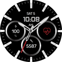 Regarder Metal 5 Watch Face