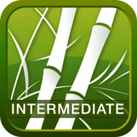 Human Japanese Intermediate