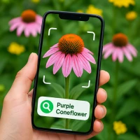 Bitki Tanımlayıcı ve Tarayıcı