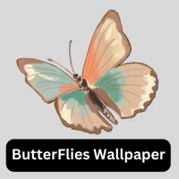 Butterfly wallpaper