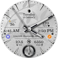D370 Analog Watch Face
