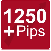 Forex Signals – Forex strateji