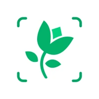 Bitki Tanımlayıcısı: Bitki App