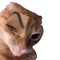 WASticker çıkartma memleri