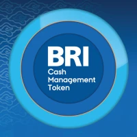 BRI Q-Token