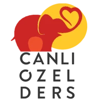 Canlı özel ders