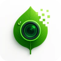 bitki bakımı , çiçek tanıma