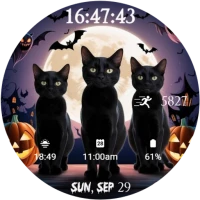 Black Cat Halloween Watch Face