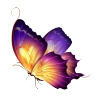 Kelebek Duvar Kağıdı