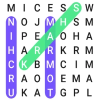 Cipher Hidden Word Challenge