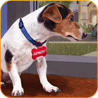 Köpek Oyunları Hayvan Barınağı