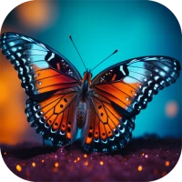 Butterfly Wallpaper 4K