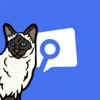 Friendcord | Reopen Discord DM