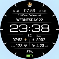 WFP 237 Digital watch face