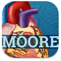 USMLE Clinical Anatomy