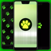 Kara Kedi Duvar Kağıdı 4K