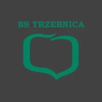 BS Trzebnica Mobile