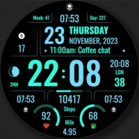 WFP 316 Info Mod Watch Face