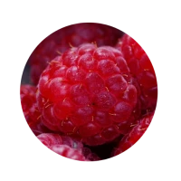 AmFly авиабилеты и отели